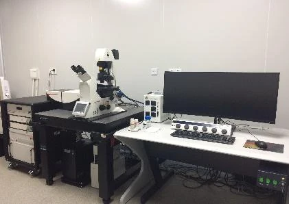 Confocal microscopy