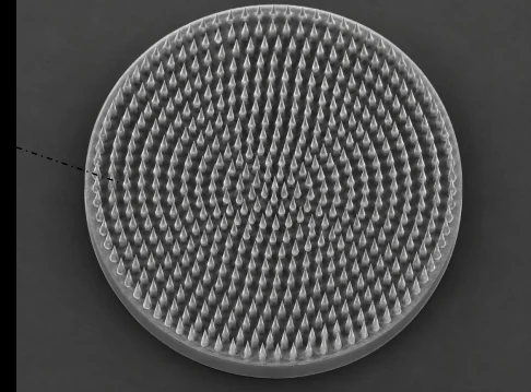 Source-deck image of a circular microneedle array